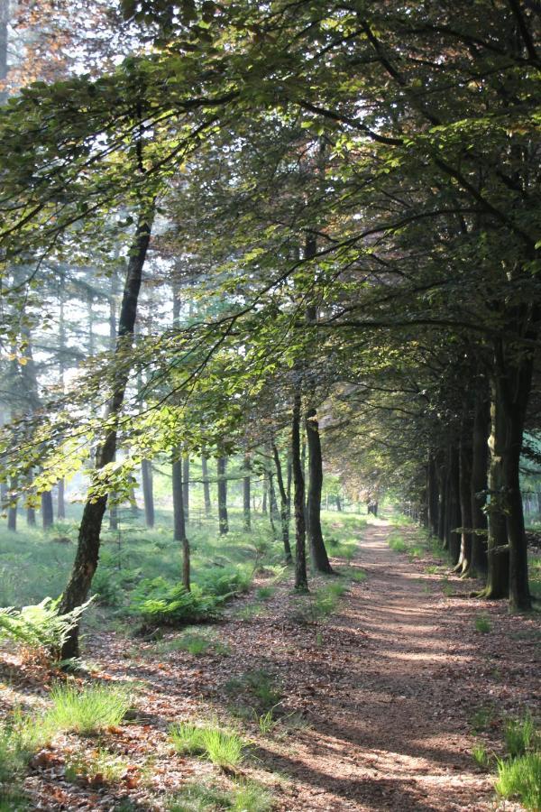 Inn The Woods - Private Stay Overberg Exteriér fotografie
