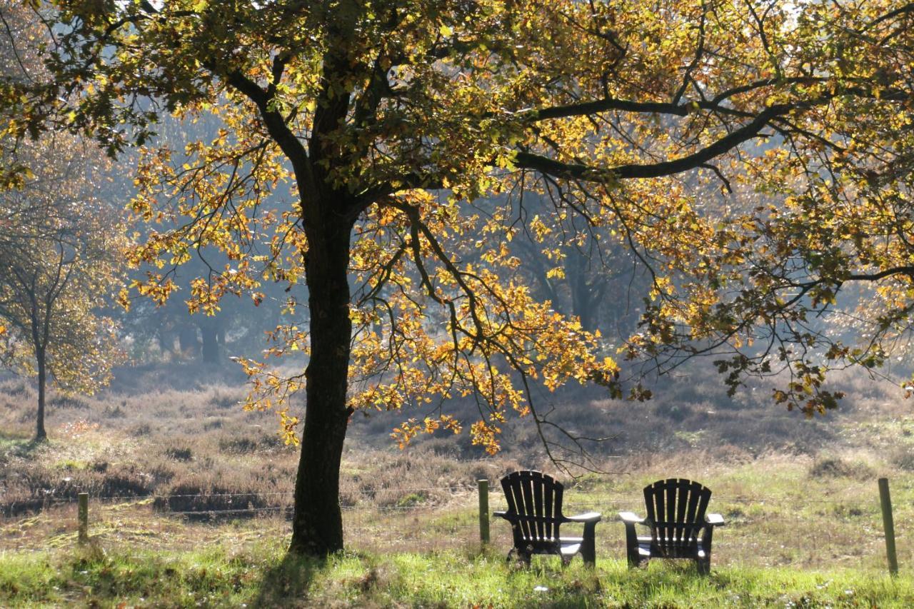 Inn The Woods - Private Stay Overberg Exteriér fotografie
